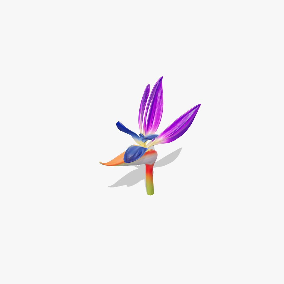 Strelitzia Reginae Exotic Purple Flower Model Pack